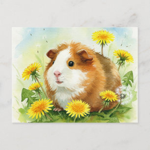 Cute Guinée porc avec pandelions Carte postale