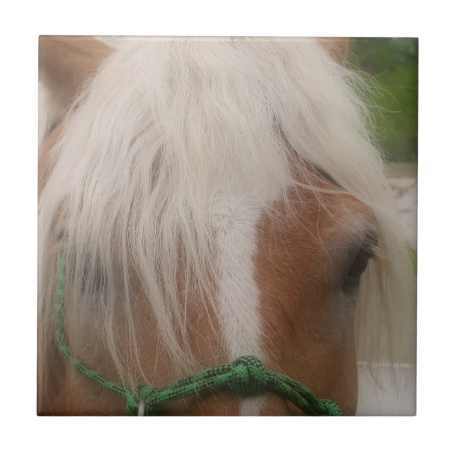 Cute Haflinger Horse Face Animal Tile (Front)