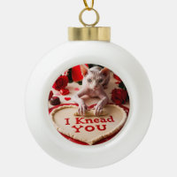 Cute Hairless Sphynx Cat Kitten I Knead You Custom