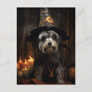 Cute Halloween Dog Postcard
