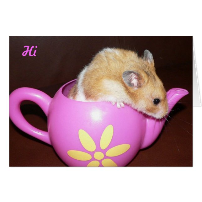 Cute Hamster (Devant horizontal)