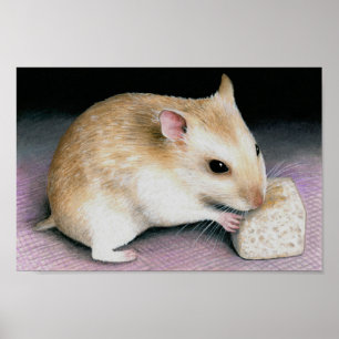 Cute Hamster 18 Poster