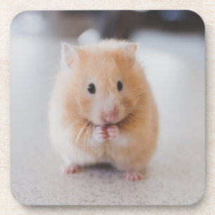Cute hamster coaster
