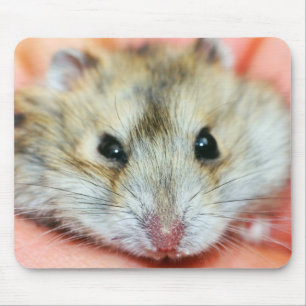 Cute Hamster Face 2 Mouse Pad