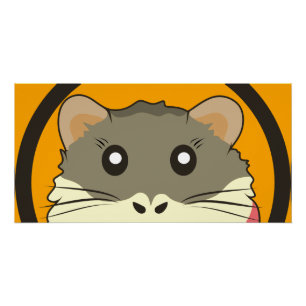 Cute hamster face with colourful fur: Animal lover Poster
