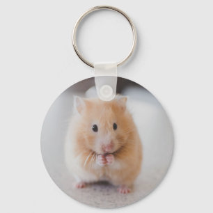 Cute hamster keychain