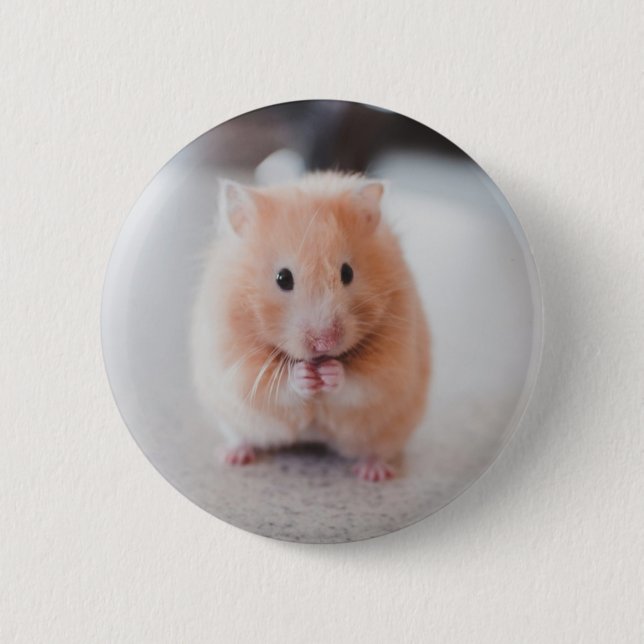 Cute Hamster Love Animals 2 Inch Round Button (Front)
