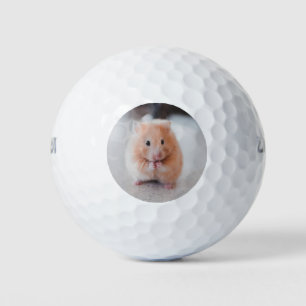 Cute Hamster Love Animals Golf Balls