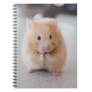 Cute hamster notebook