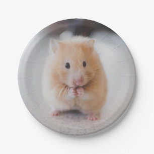 Cute hamster paper plate