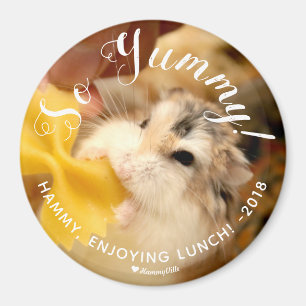 Cute Hamster So Yummy Magnet