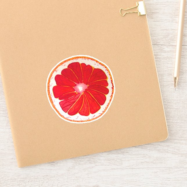 Cute hand painted pink grapefruit pop art (Notebook)