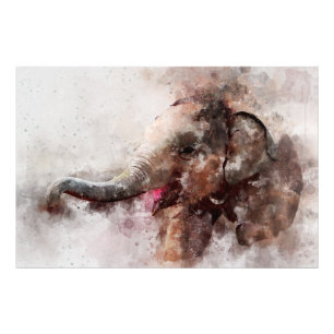 Cute, Happy and Playful Baby Asian Elephant  Photo Print