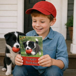 Cute Happy Birthday Border Collie Greeting Card