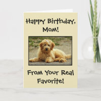 Cute Happy Birthday Card From The Dog Photo