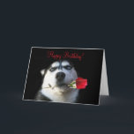 Cute Happy Birthday to my Brother in Law Card<br><div class="desc">This is a darling way to say Happy Birthday to your Brother in Law and let him know that he is your favourite!  A cute Husky Dog with a rose makes this an irresistible card!</div>