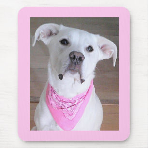 Cute Happy Dog With Soulful Eyes Forty Pink Mouse Pad