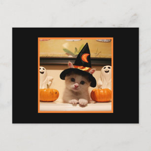 Cute Happy Halloween Kitty And Witch Hat Postcard