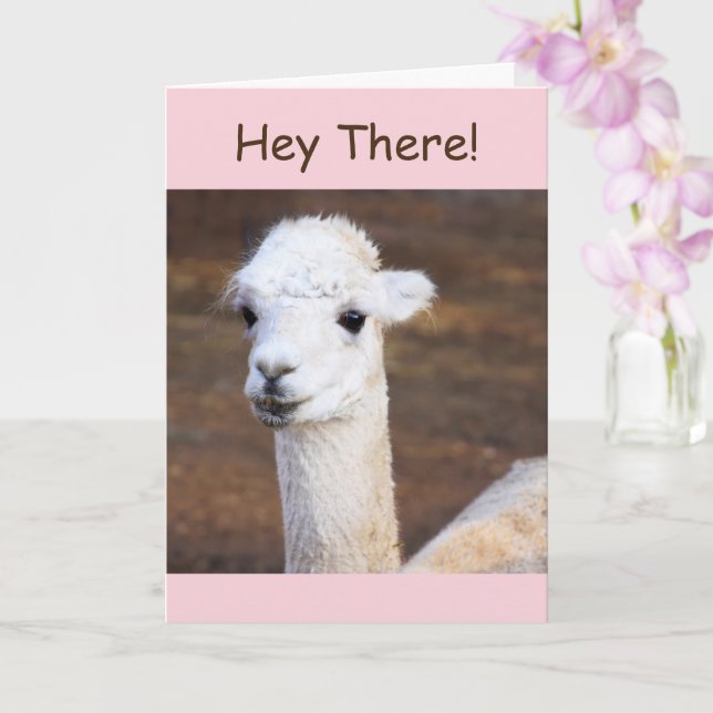 Cute Happy Llama Birthday Card (Orchid)