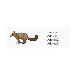 Cute happy numbat cartoon illustration
