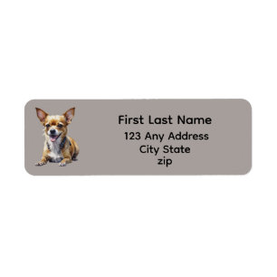Cute Happy Pet Chihuahua Dog