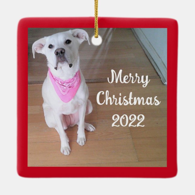 Cute Happy Puppy Dog Wearing Pink Scarf Square Red Ceramic Ornament (Back)