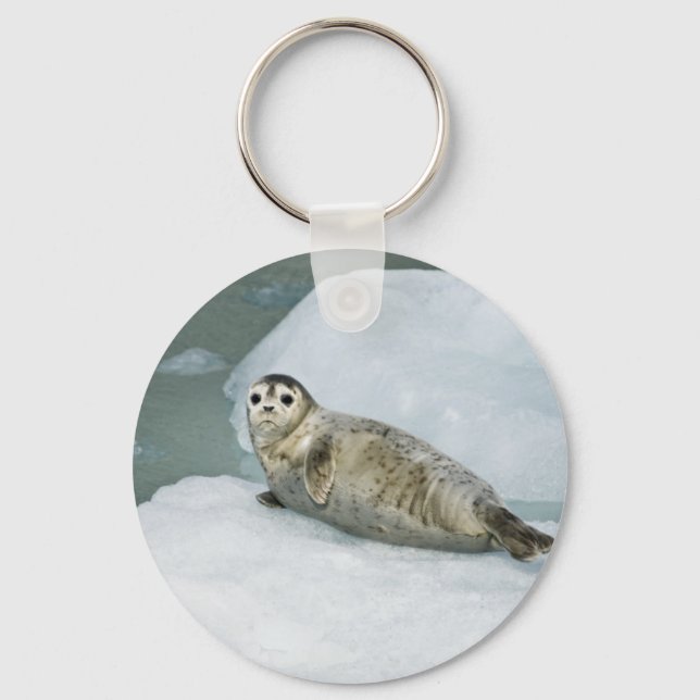 Cute Harbour Seal on Snow Keychain (Front)