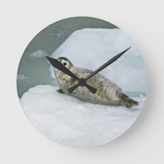 Cute Harbour Seal on Snow Round Clock (Front)