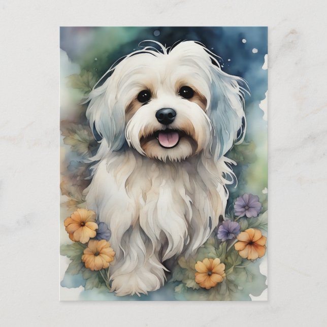Cute Havanese Dog in Watercolor  Postcard (Front)