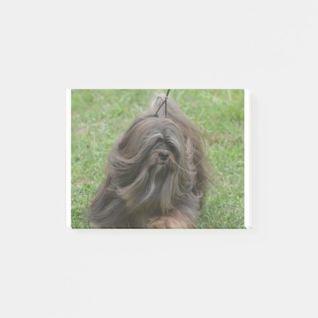 Cute Havanese Post-it Notes (Front)