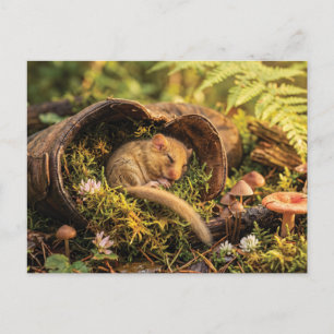 Cute Hazel Dormouse Sleeping Inside a Leather Boot Postcard
