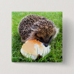 CUTE HEDGEHOG 2 INCH SQUARE BUTTON