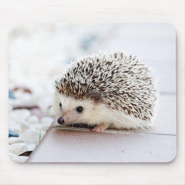 Cute Hedgehog Baby Mouse Pad (Front)