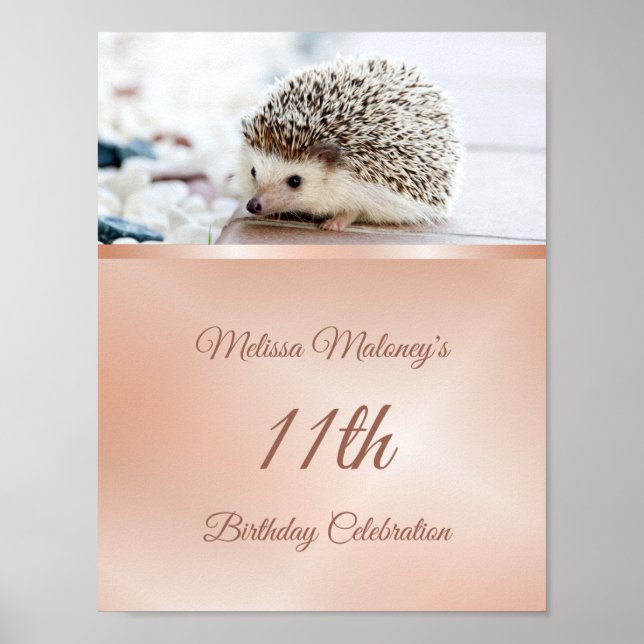 Cute Hedgehog Birthday Party Poster (Front)