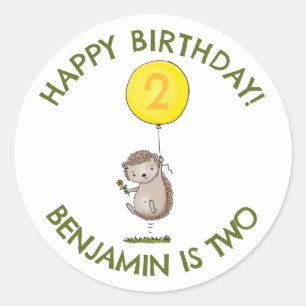 Cute hedgehog cartoon personalized birthday classic round sticker