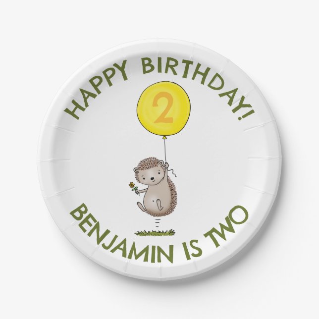 Cute hedgehog cartoon personalized birthday paper plate (Front)