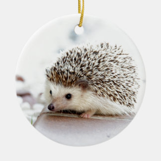 Cute Hedgehog Ceramic Ornament