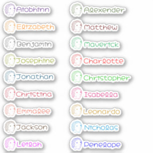 Cute Hedgehog Custom Multiple Names Stickers