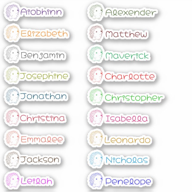 Cute Hedgehog Custom Multiple Names Stickers (Front)
