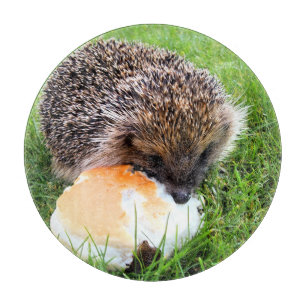 CUTE HEDGEHOG CUTTING BOARD
