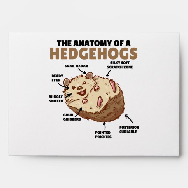 Cute Hedgehog Explanation Anatomy Of A Hedgehogs Envelope (Front)