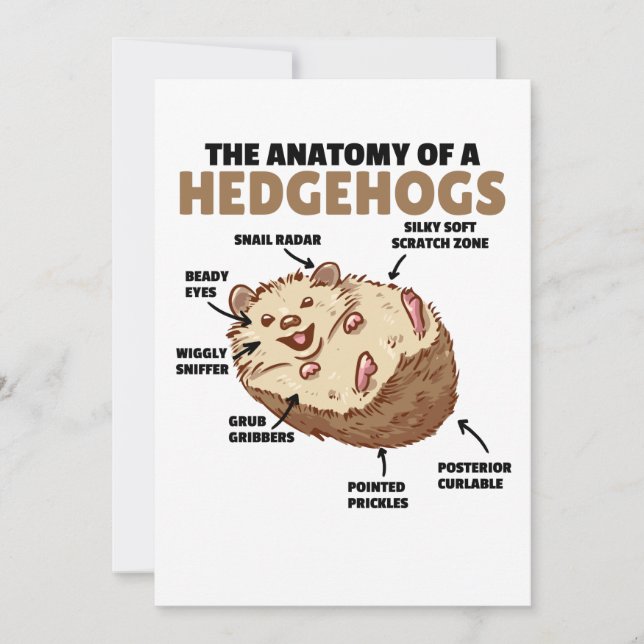 Cute Hedgehog Explanation Anatomy Of A Hedgehogs Invitation (Front)