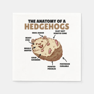 Cute Hedgehog Explanation Anatomy Of A Hedgehogs Napkin