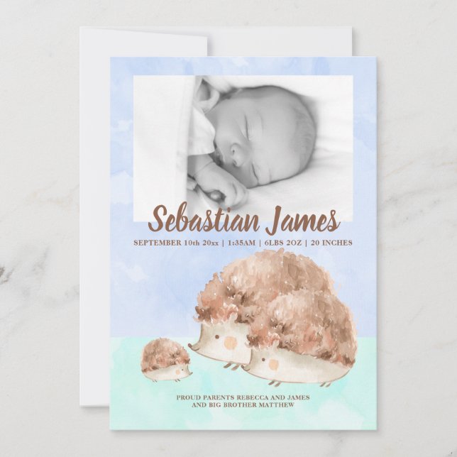 Cute Hedgehog Family New Baby Photo Personalized Announcement (Front)