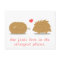Cute Hedgehog finds its true love in a scrub brush