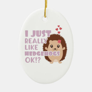 Cute Hedgehog I Just Really Like Hedgehogs OK? Ceramic Ornament