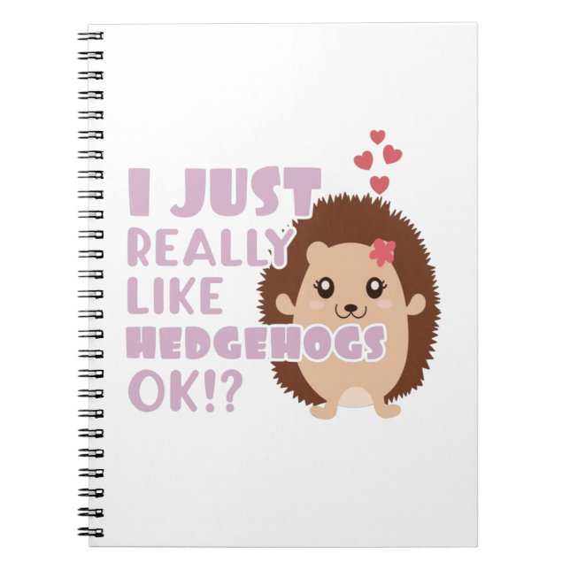 Cute Hedgehog I Just Really Like Hedgehogs OK? Notebook (Front)