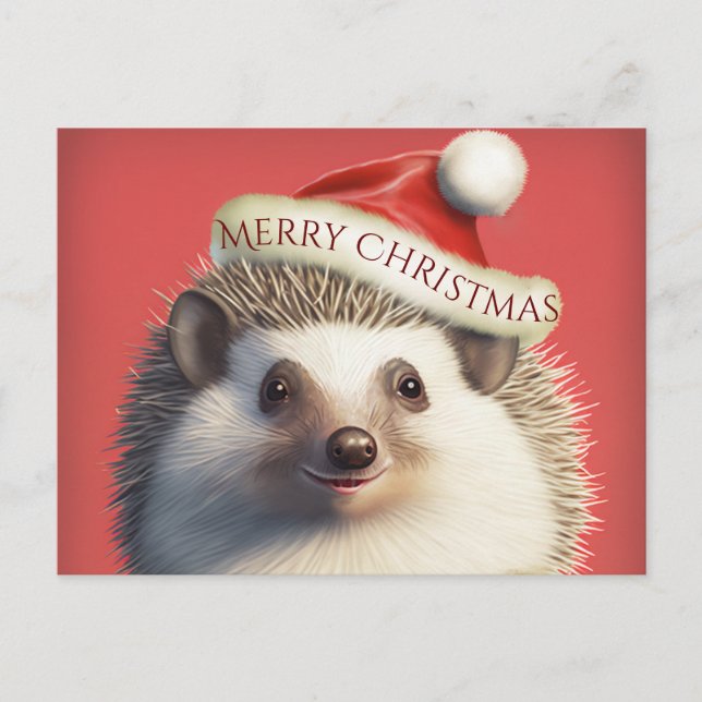 Cute Hedgehog in Santa Hat  Postcard (Front)