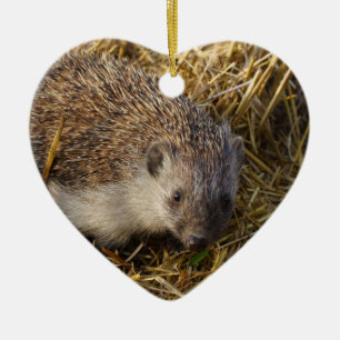 Cute Hedgehog In Stubble Field Ceramic Ornament