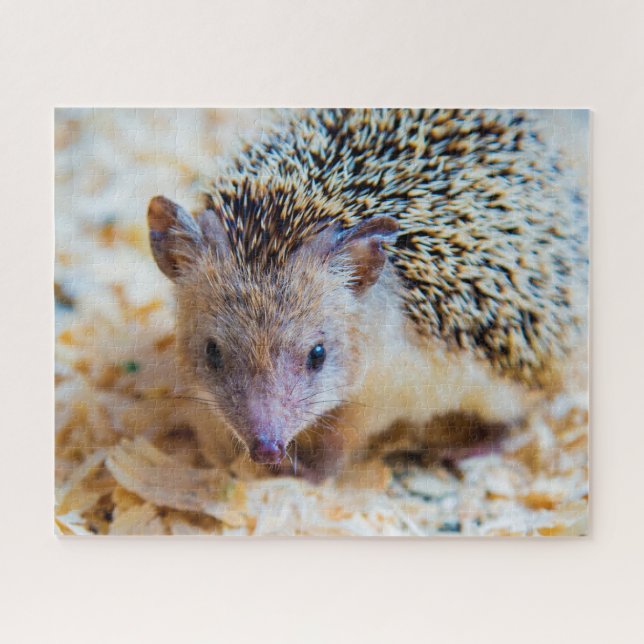 Cute Hedgehog, Jigsaw Puzzle (Horizontal)
